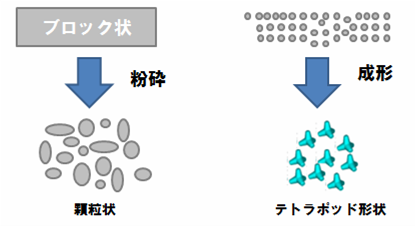 テトラ ネクスト